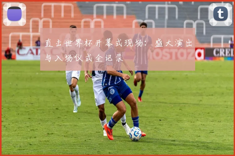 直击世界杯开幕式现场:盛大演出与入场仪式全记录