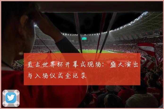 直击世界杯开幕式现场:盛大演出与入场仪式全记录