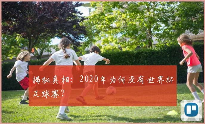 揭秘真相:2020年为何没有世界杯足球赛?